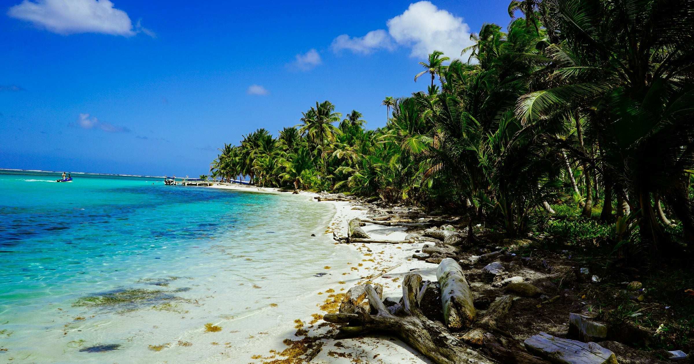 Turquoise Caribbean shoreline lined with palms in Panama — typical of the San Blas archipelago and Bocas del Toro, the country's most photographed beach destinations.