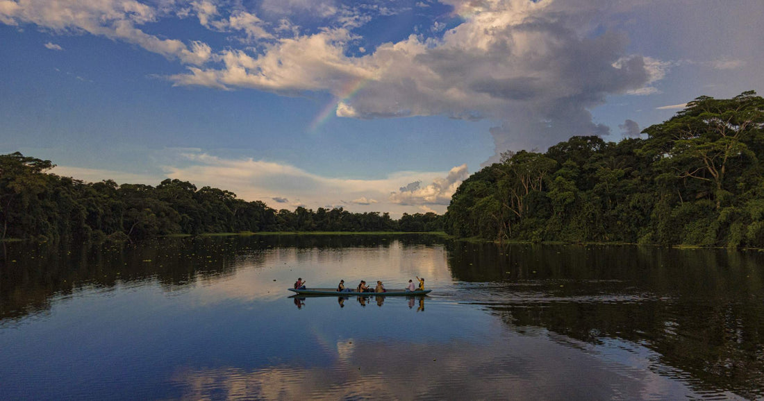 Travellers on a canoe exploring the Amazon River in Brazil surrounded by lush rainforest