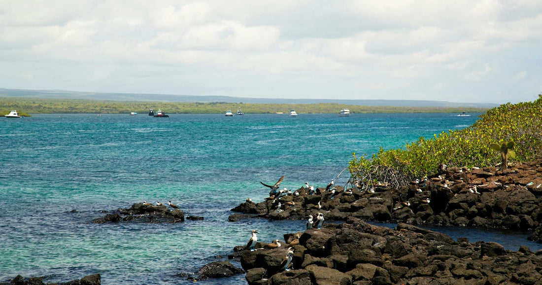 Turquoise waters and boats in the Galapagos Islands bay, Ecuador