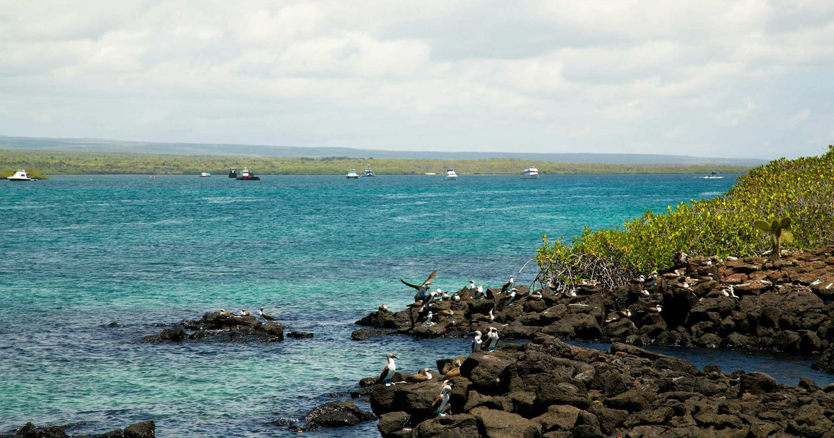 Turquoise waters and boats in the Galapagos Islands bay, Ecuador