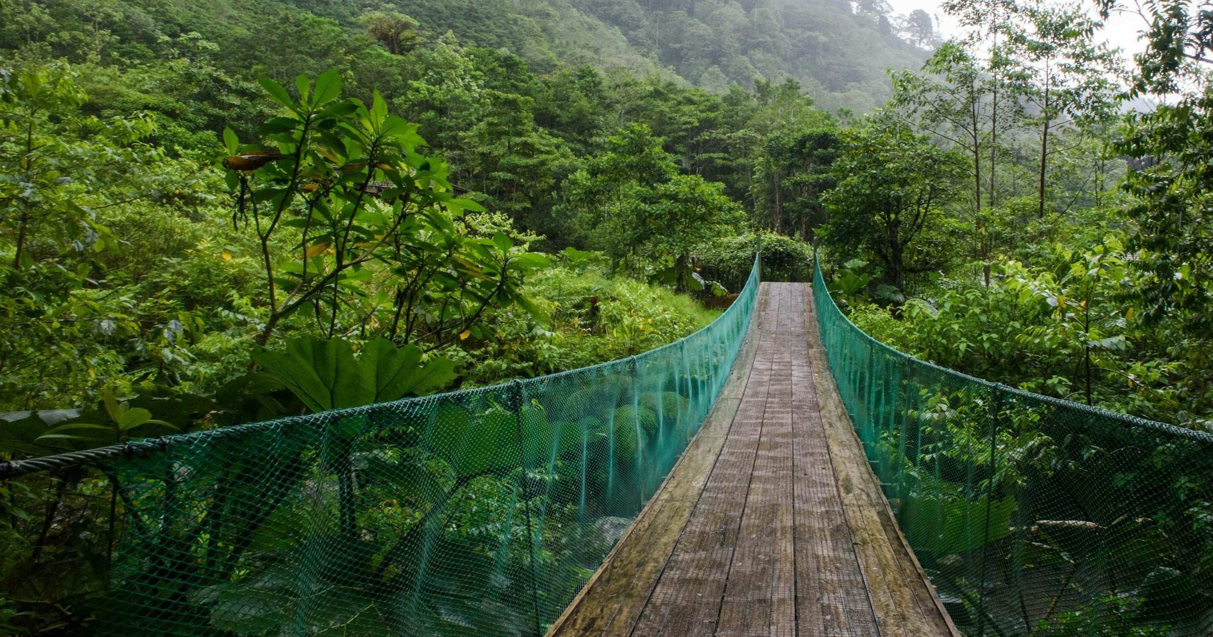 Wooden hanging suspension bridge over misty cloud forest in Costa Rica — a popular adventure destination for travellers staying connected with an eSIM.