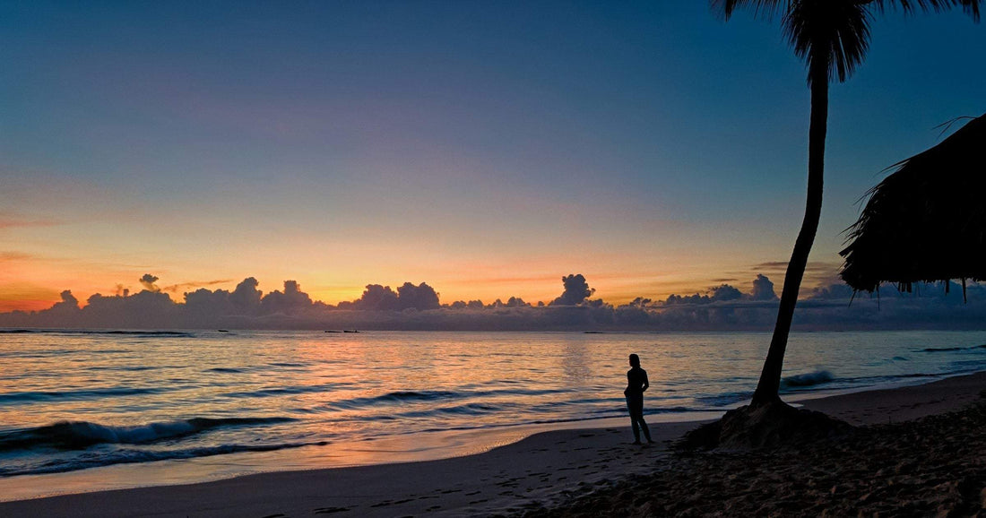 Sunset silhouette of a beachgoer beneath a palm tree on a Dominican Republic Caribbean coast — popular destination for travellers staying connected with a Dominican Republic eSIM.