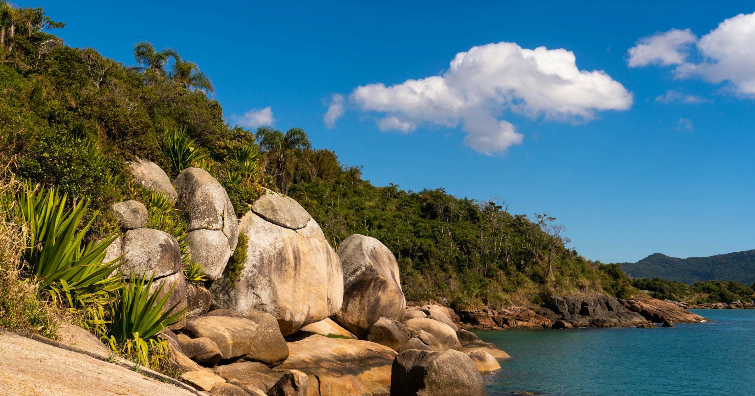 Tropical rocky coastline with Amazonian jungle vegetation in French Guiana