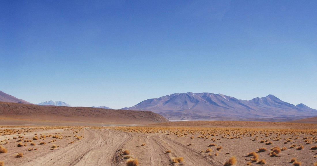 Bolivian Altiplano dirt road winding through golden grasses toward distant volcanic mountains under a deep blue sky.