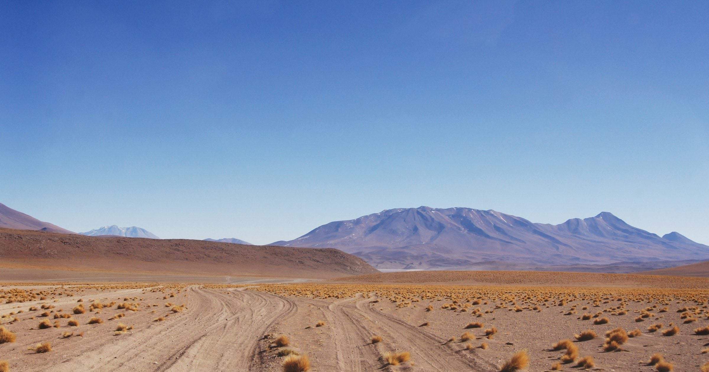 Bolivian Altiplano dirt road winding through golden grasses toward distant volcanic mountains under a deep blue sky.