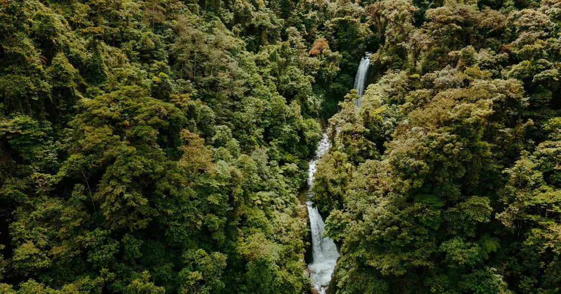 Aerial view of a waterfall cascading through lush rainforest canopy in Costa Rica — a popular nature destination for travellers setting up an eSIM on iPhone.