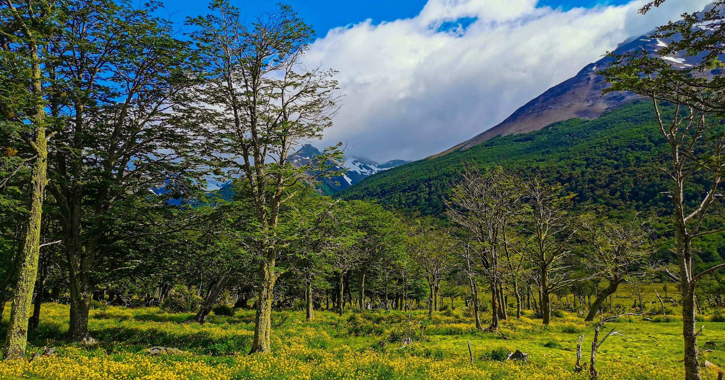 backpacking patagonia budget On A Budget: A Guide To In Chile and Argentina on $30/Day eBook : Morgante, Matthew: Books Patagonia Travel Costs 2026: Full