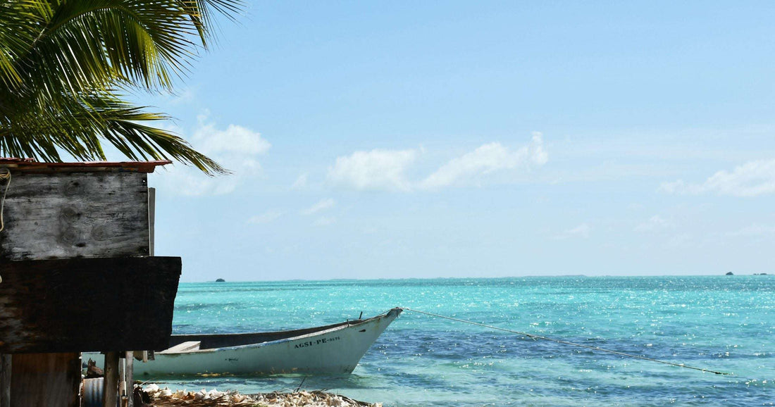 Wooden fishing boat moored on a turquoise Caribbean shore with palm fronds overhead — Los Roques-style scenery for travellers staying connected with a Venezuela eSIM.